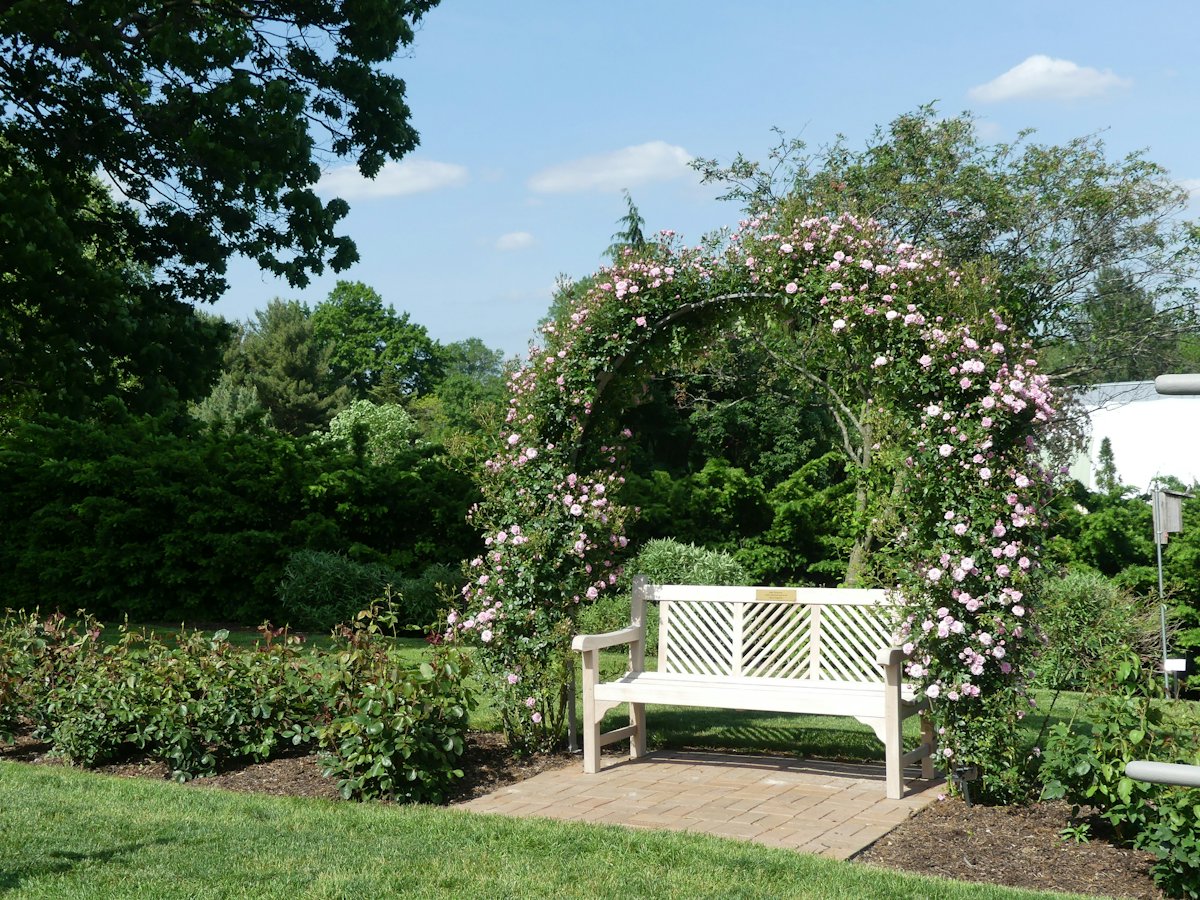 Jardim com bancos e sombra